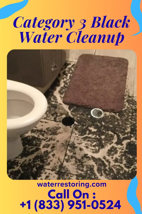 Category 3 Black Water Cleanup in Cedar Mill, OR